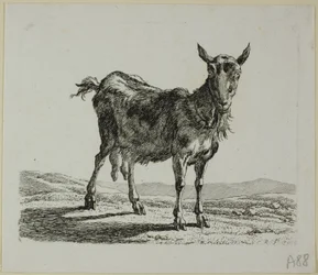 Standing Goat, from Die Zweite Thierfolge