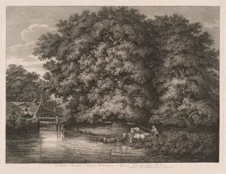 The Mill at the Great Oaks