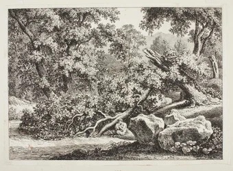 Woodland Scene with Broken Oak