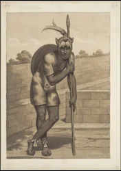 A Collection of Waldeck