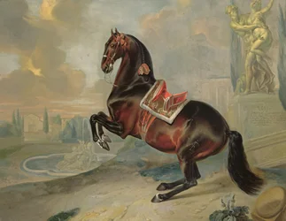 The Dark Bay Horse 