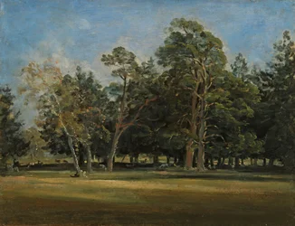 The Deer Park near Munich