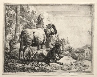 Goat with Bell