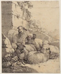 Four recumbent sheep and one standing sheep before a wall, sheet from the series “Sheep and Goats”