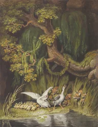 A Goose and a Gander with their Goslings Honking in Alarm as Two Foxes, mid-18th-early 19th century