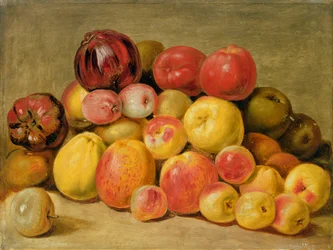Pieces of Fruit