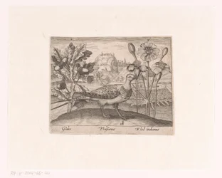 Series of Prints with Flowers and Animals in a Landscape