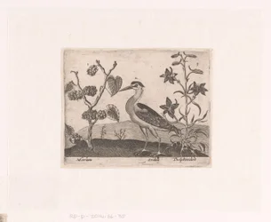 Series of Prints with Flowers and Animals in a Landscape (Landscape with Heron and Larkspur) (Landscapes with Animals, Plants, and Flowers)