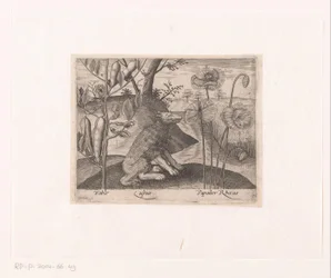 Series of Prints with Flowers and Animals in a Landscape