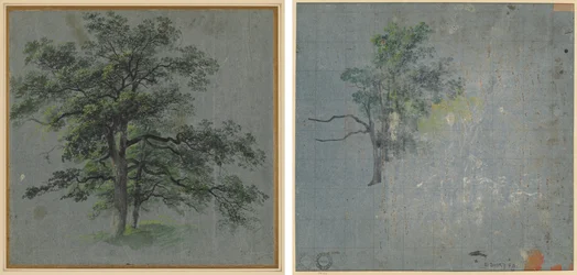 Two Trees (recto) Tree Studies (verso)