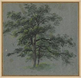 Two Trees