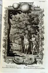 Copperplate Engraving from 