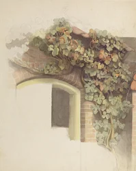 Unknown Image