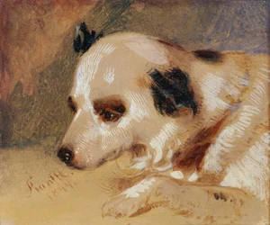 Head of a Dog