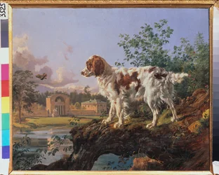 The Kuzminki Estate. The Manege. A dog in the landscape