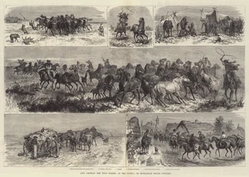 Life Amongst the Wild Horses of the Puszta, or Hungarian Heath Country