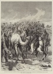 The War in the Sudan, Capture of Three Hundred Camels by Major-General Sartorius in a Reconnaissance from Suakin