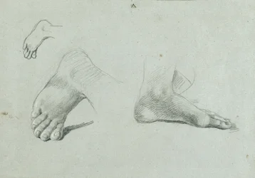 Foot Study