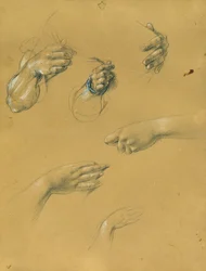 Studies of Hands