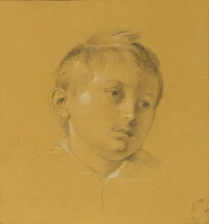 Head of a Boy