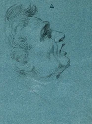 Head Study for the Wall Paintings in the Hofburg