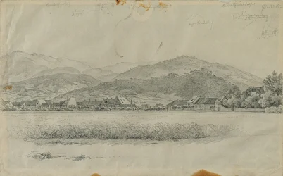 Landscape for 