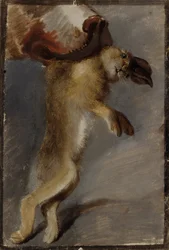 Study of a Hare