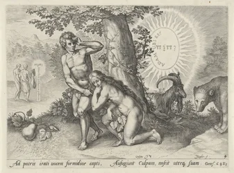 Fall of Man (series title)