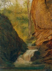 Forest Stream