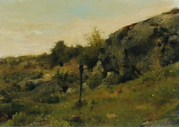 Meadow Landscape with Rocks