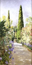 Corfu: Cypress Trees and Oleander