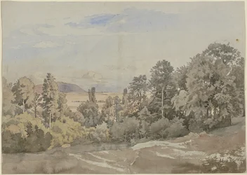 Forest with distant view