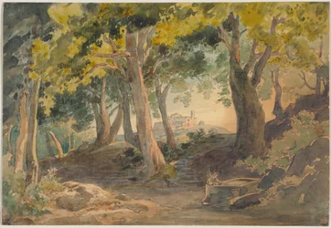 Landscape - with tall old deciduous trees and a hill with a castle in the background
