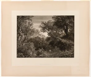 The Large German Landscape