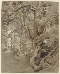 Forest Scene with an Oak and Ferns