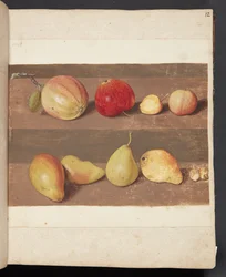 Study of Apples and Pears