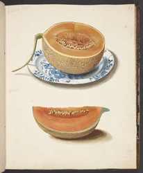 Study of Two Net Melons, Halved and Quartered