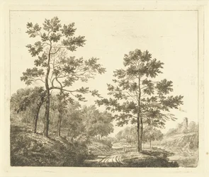 Forest Path in a Hilly Landscape