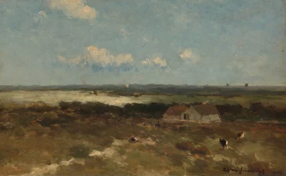 Dune Landscape
