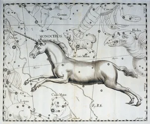 Monoceros, Constellation of Unicorn, Engraving from the Celestial Atlas Firmamentum Sobiescianum sive Uronographia