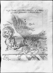 The Comet Discovered and Observed by Johannes Hevelius from 3rd February to 28th March 1661 in Gdansk