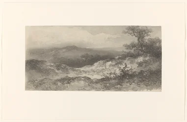 Dune Landscape