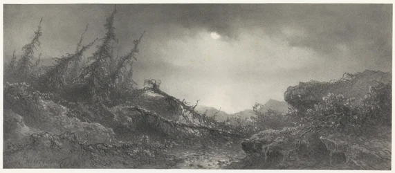 After the Storm