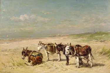 Donkeys on the Beach