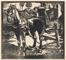 Unhitched Cart Horse
