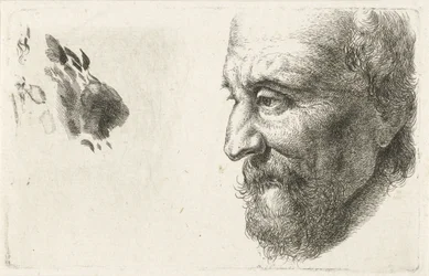 Profile of an Old Man
