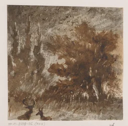 Deer and Birds by Tall Trees