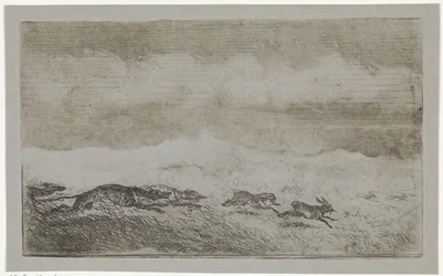 Hare Hunt