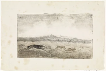 Hare Hunt