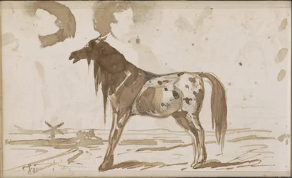 Flat Landscape with a Horse